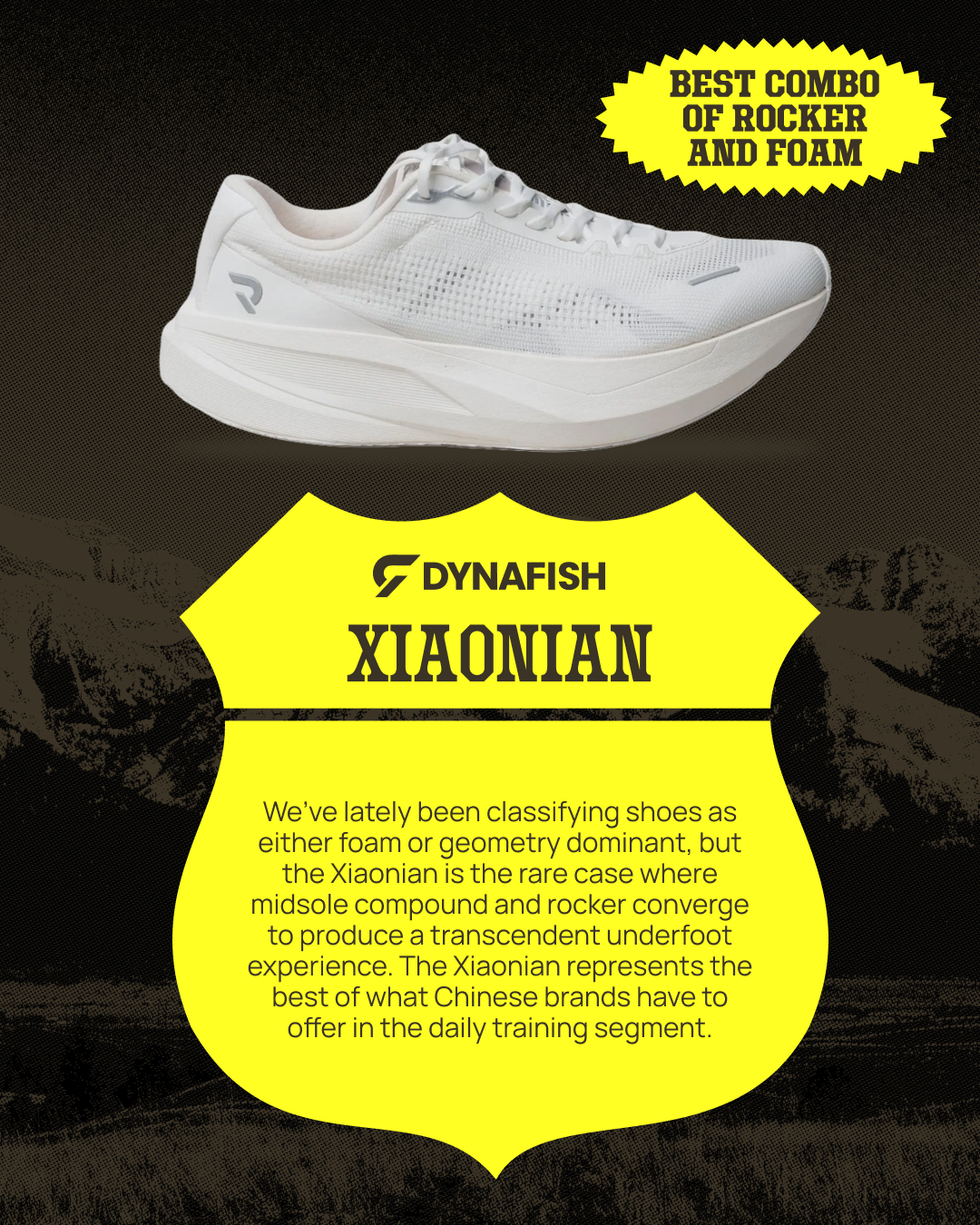 Official US Retailer of the Dynafish Xiaonian and Our Thoughts